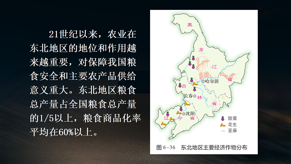 18179941第5页