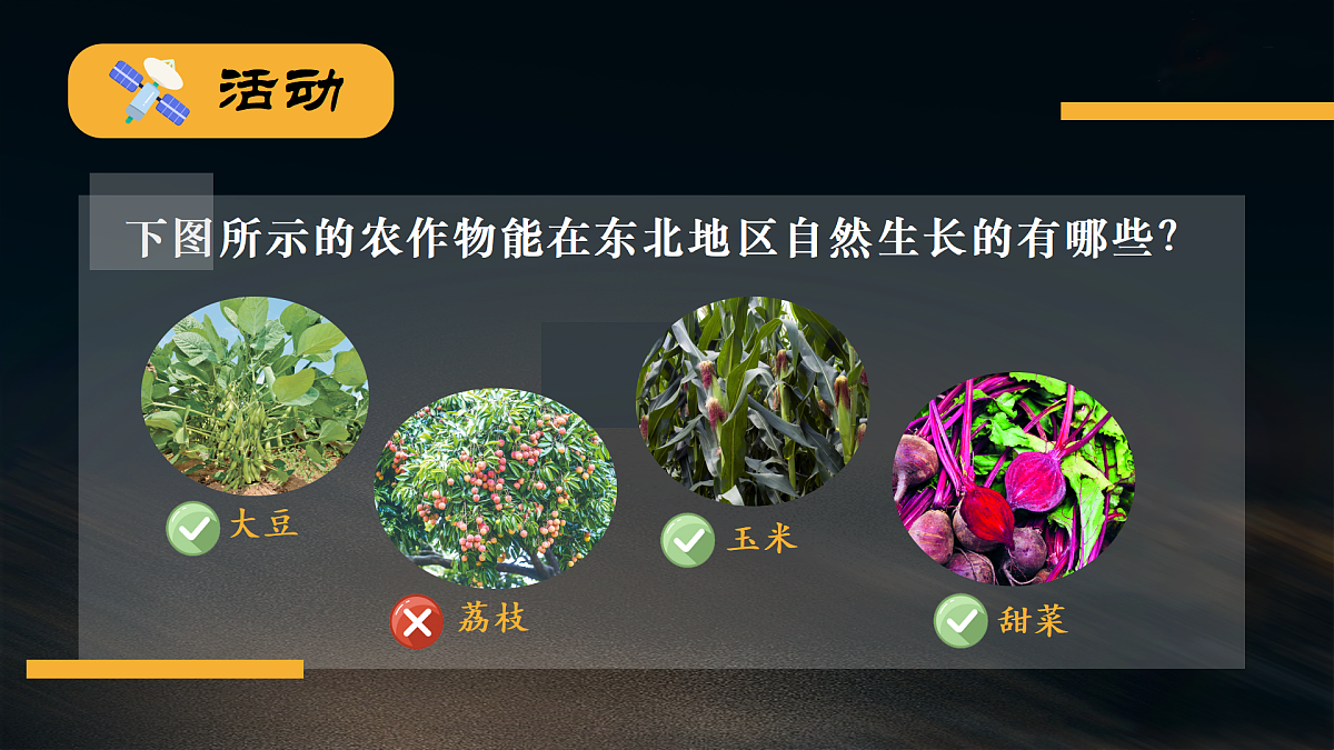 18179941第6页
