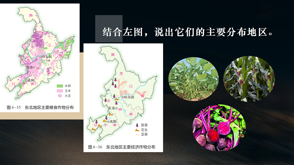 18179941第7页