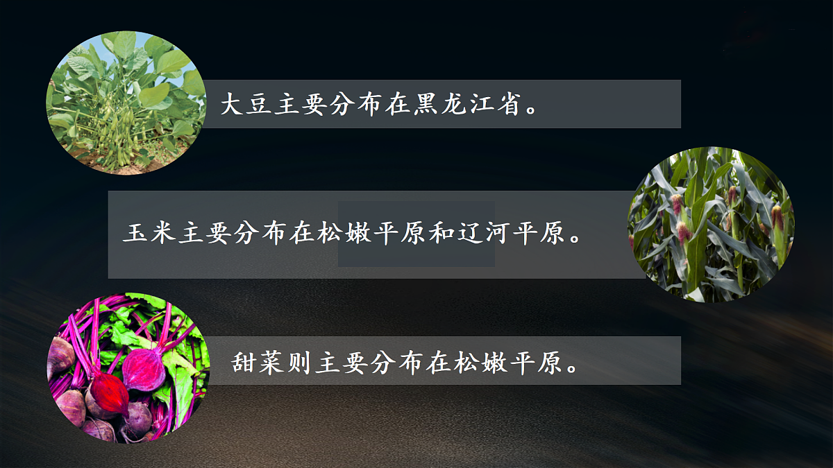 18179941第8页