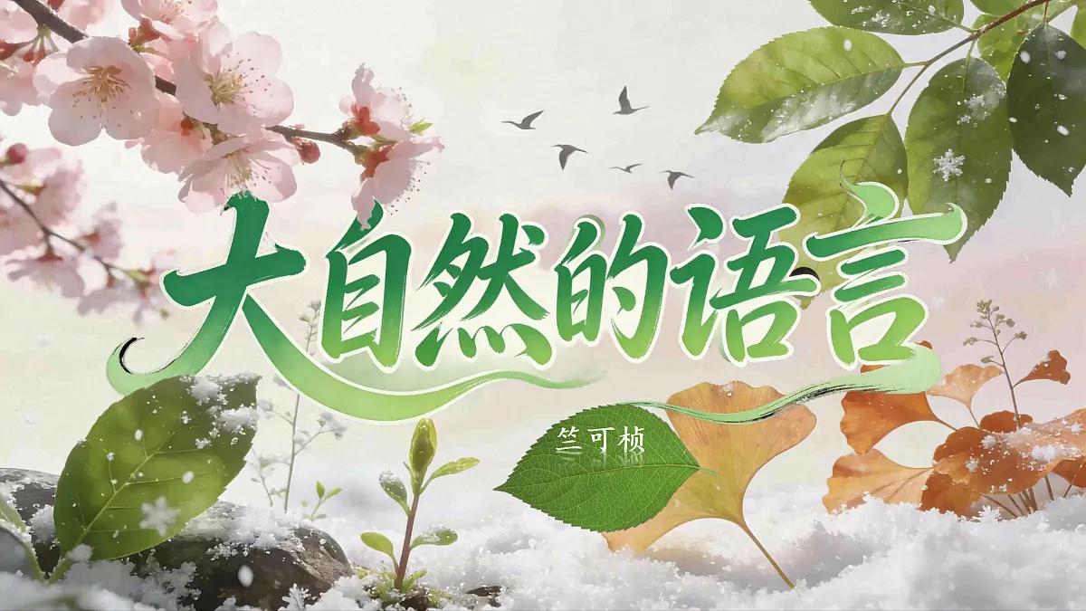 18180077第1页
