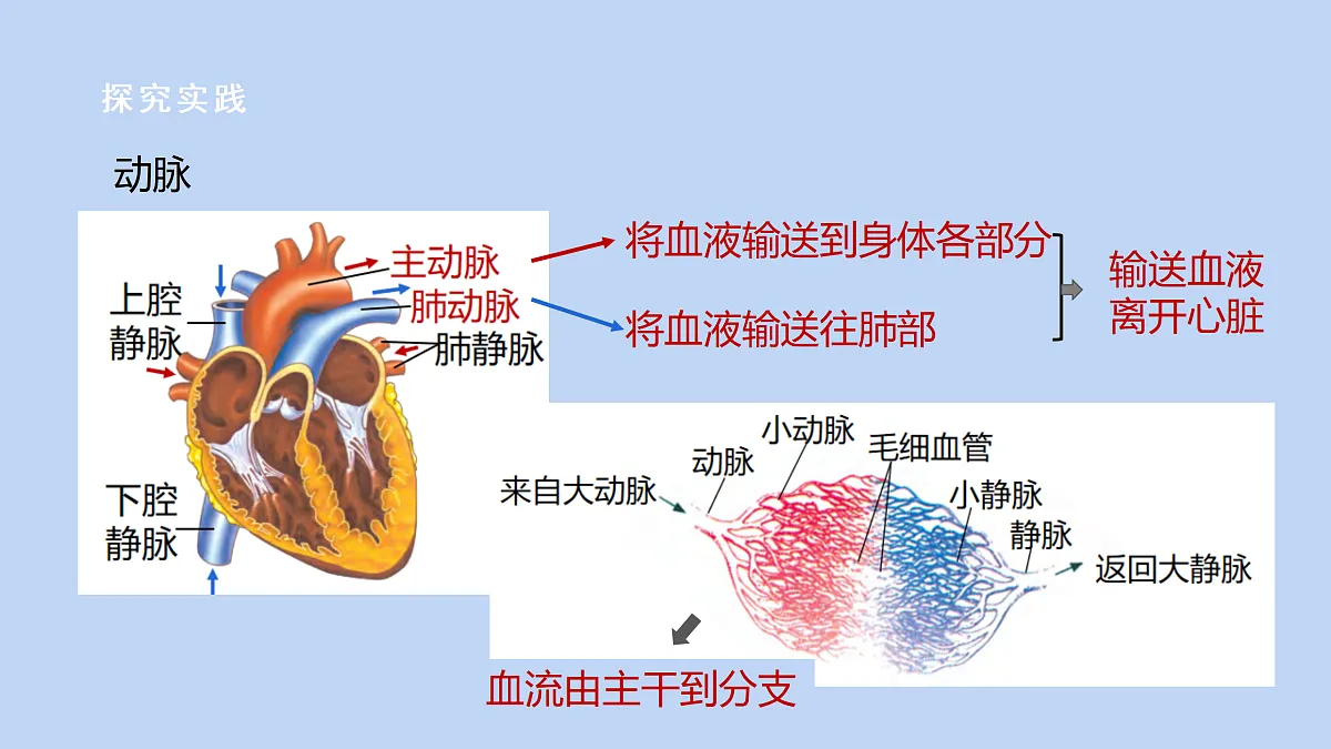 18182424第4页