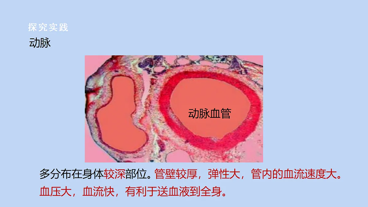 18182424第5页