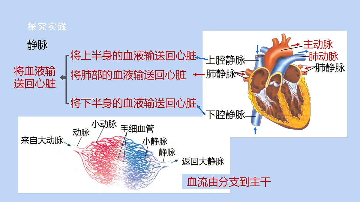 18182424第6页