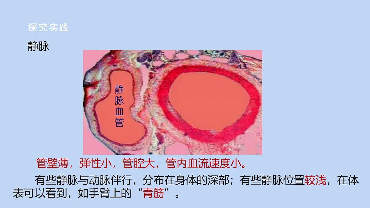 18182424第7页