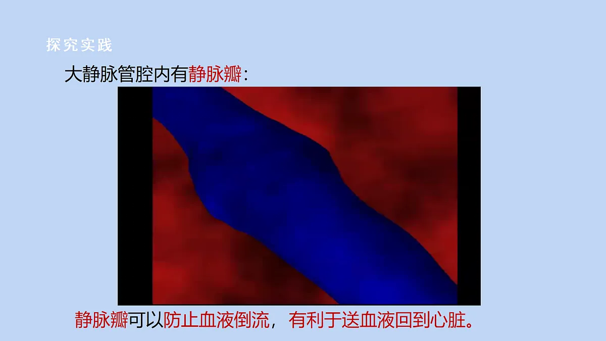 18182424第8页