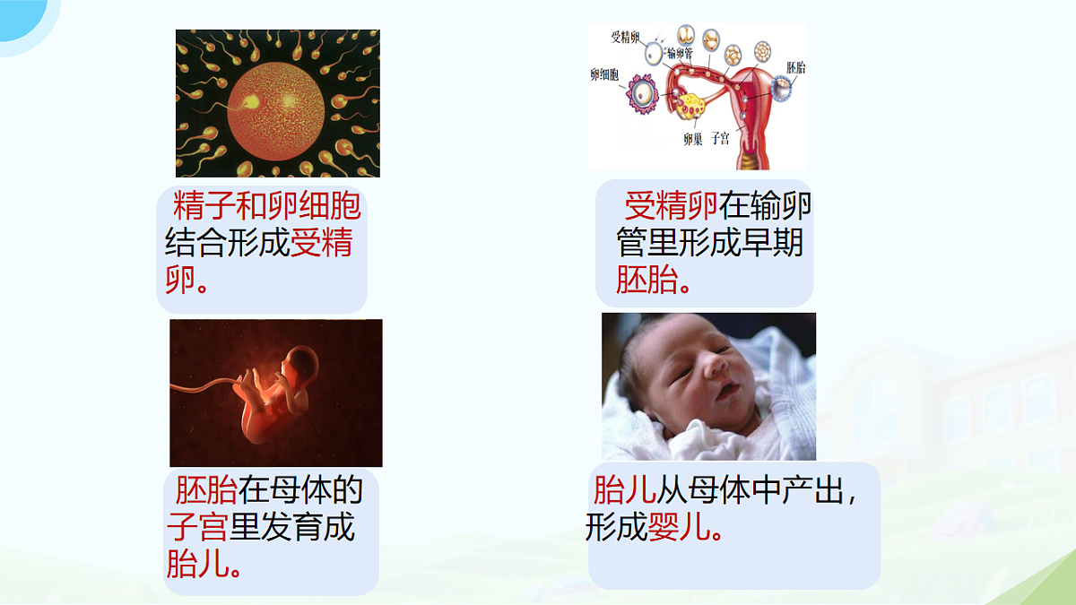 18182539第2页