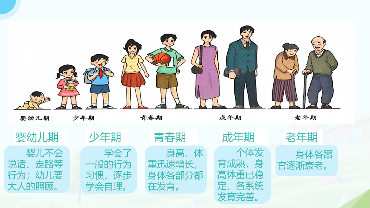 18182539第3页
