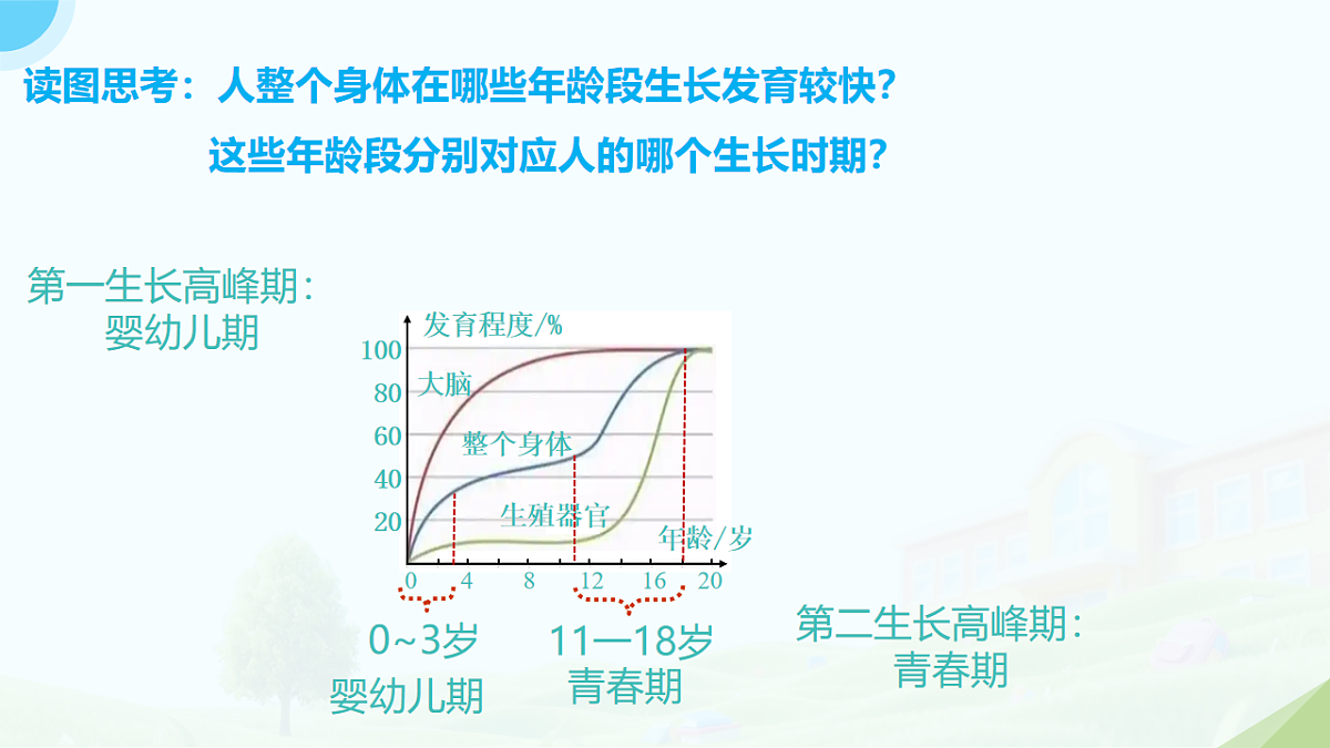 18182539第4页