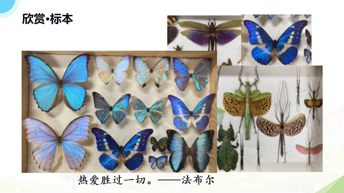 18182540第3页