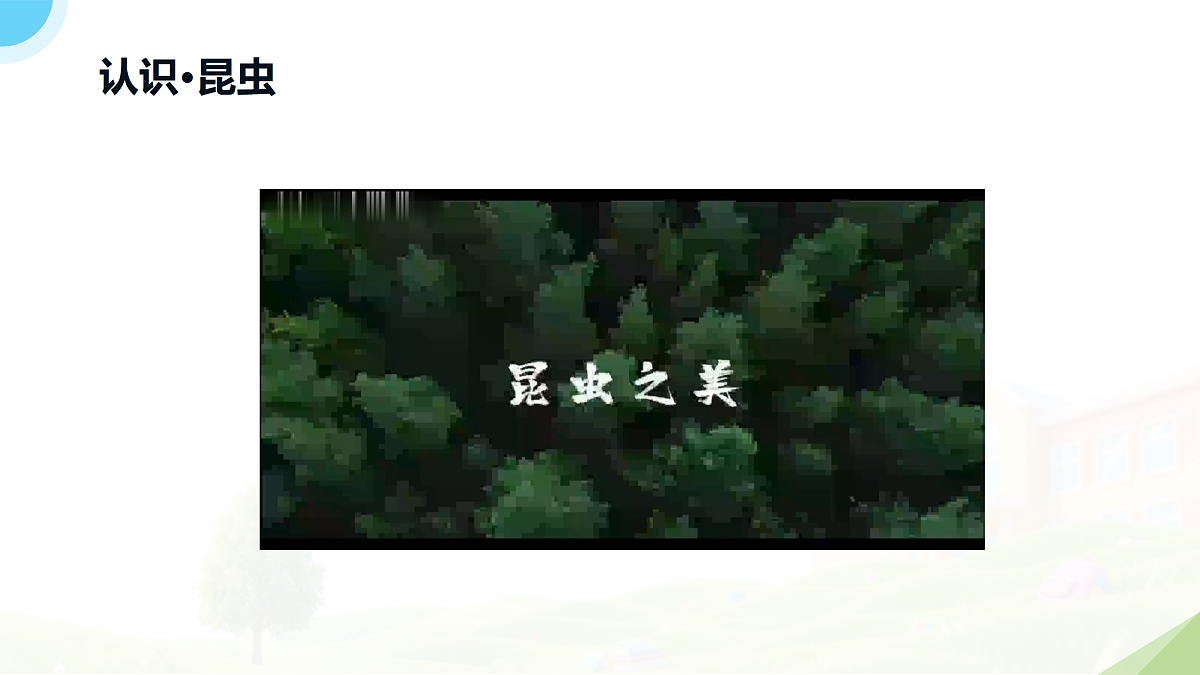 18182540第4页