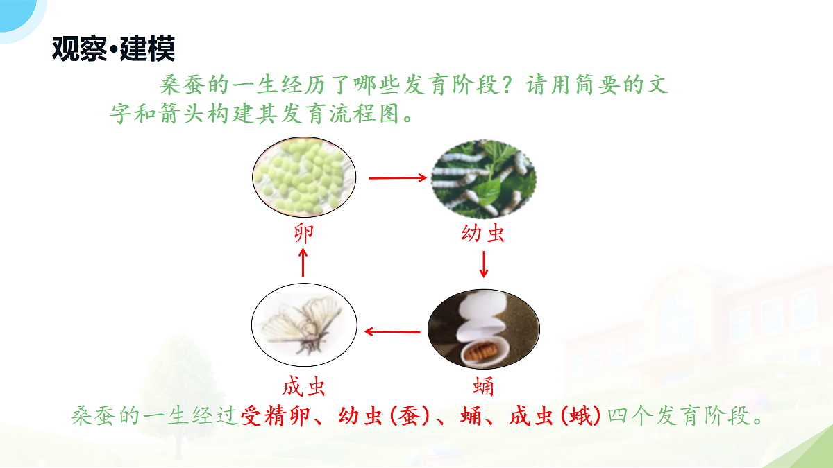 18182540第7页