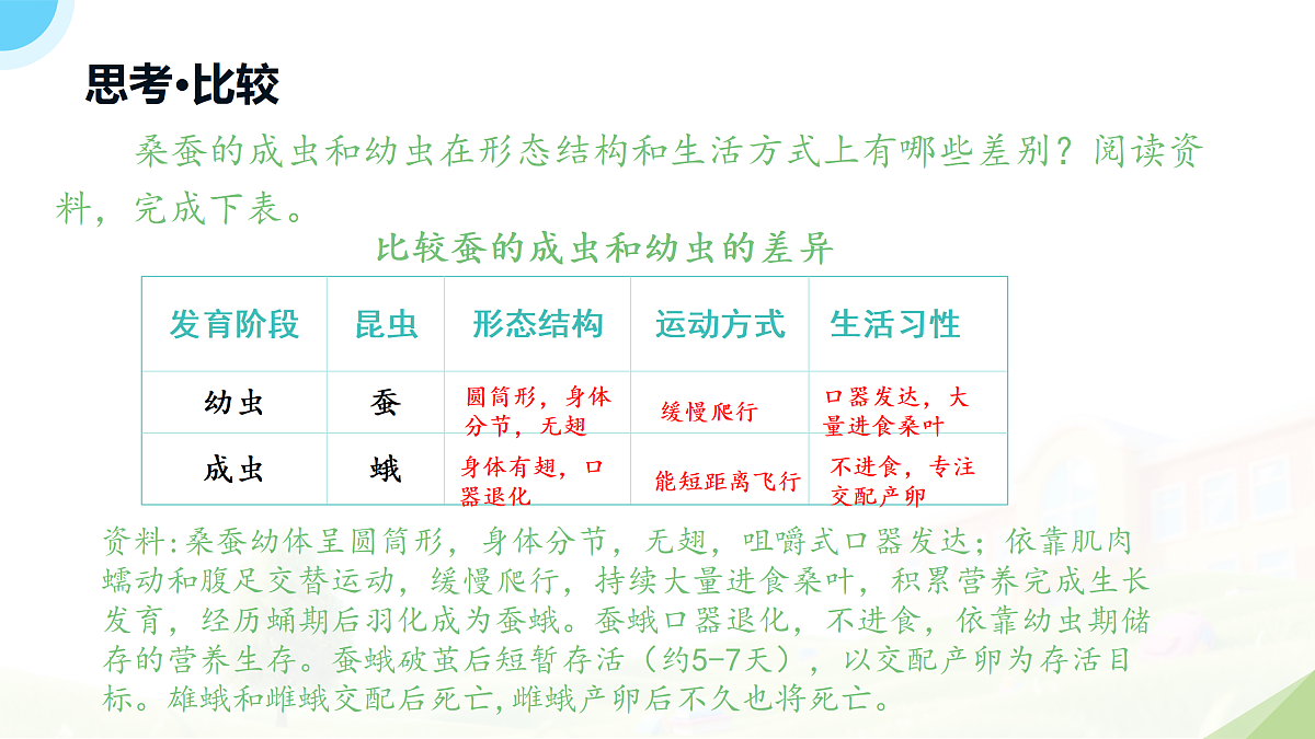 18182540第8页
