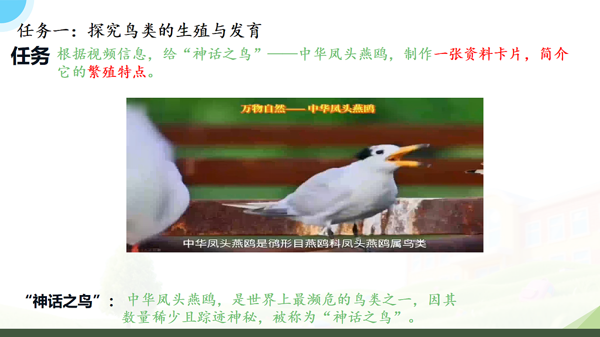 18182541第2页