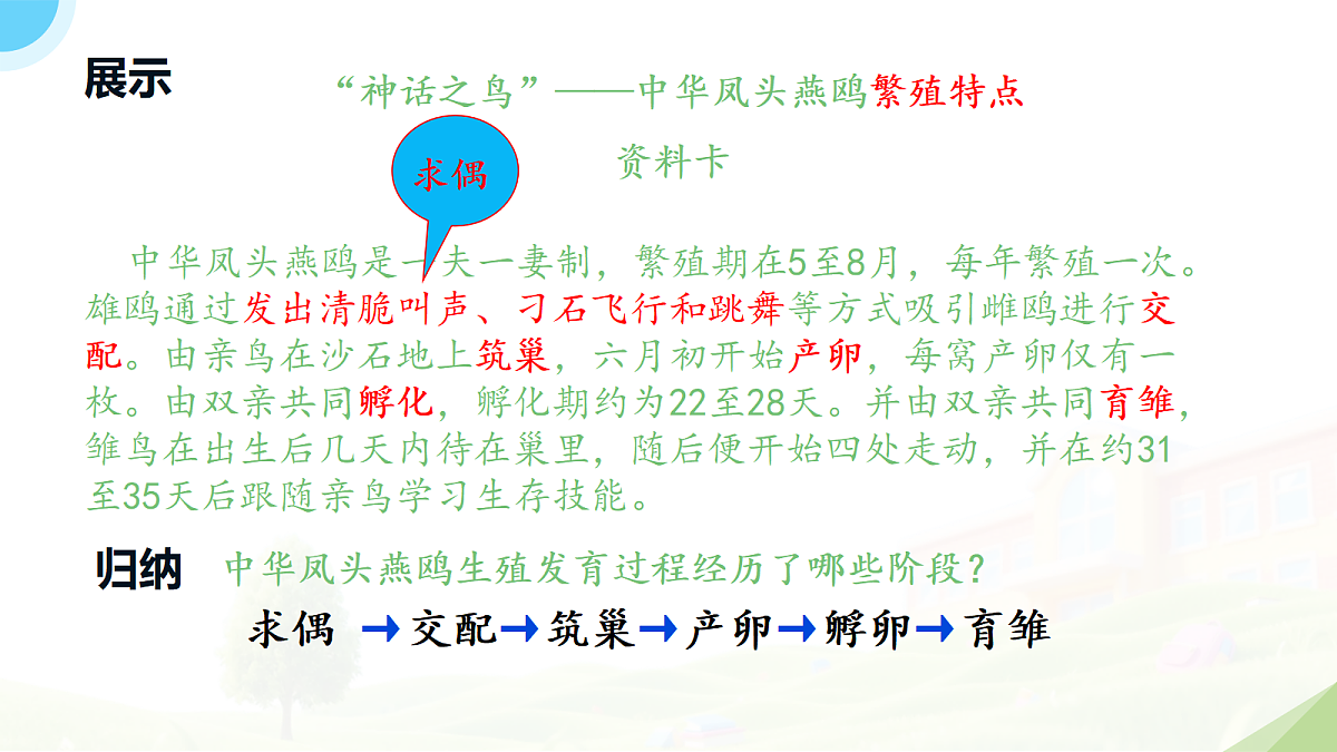 18182541第3页