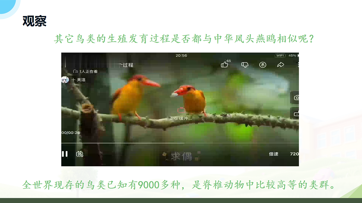18182541第4页