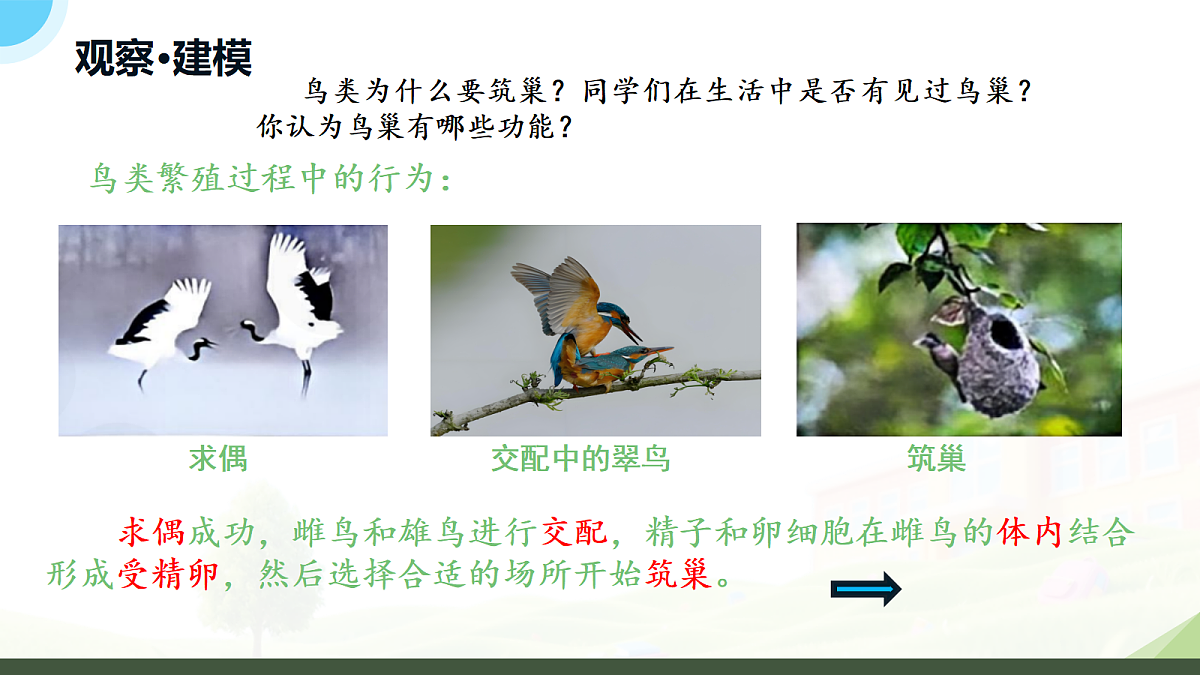 18182541第5页