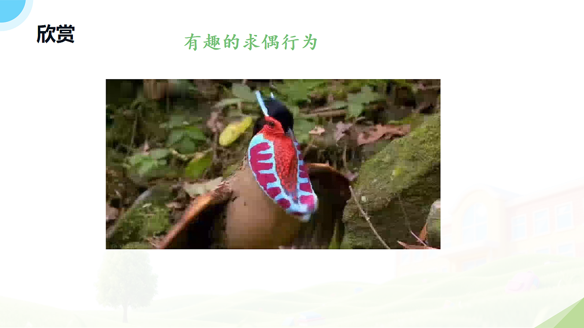 18182541第6页