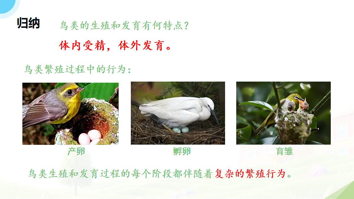18182541第7页