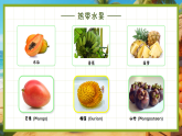 3.4 演唱《木瓜恰恰恰》 课件-花城版小学音乐二年级下册