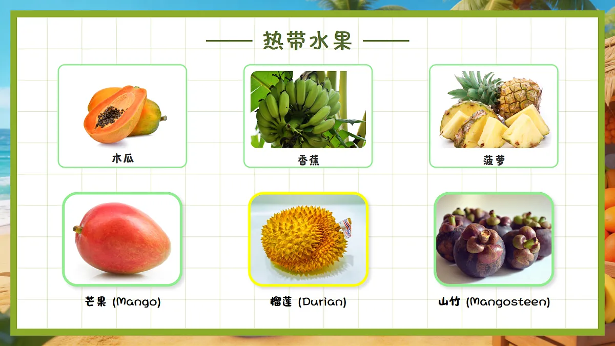 18182689第5页