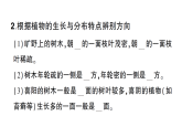 小学科学新教科版三年级下册第一单元第二课 利用自然物辨别方向知识点作业课件（放映显示答案）（2026春）