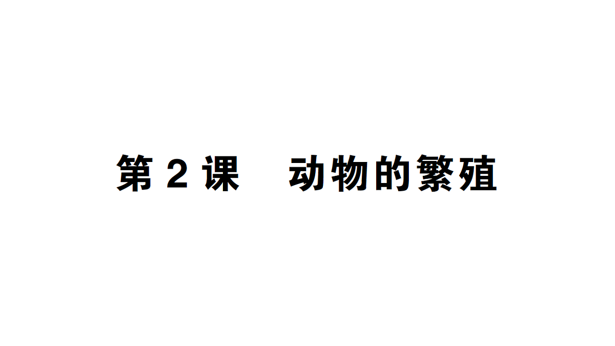 18184286第1页