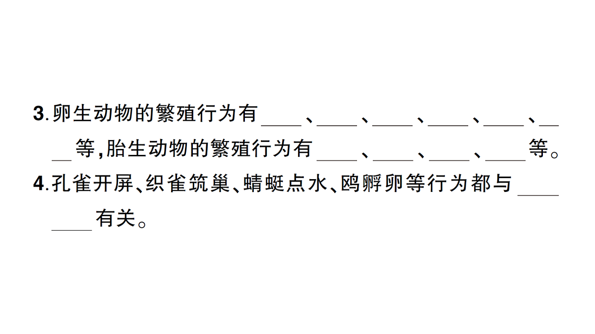 18184286第3页