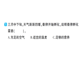 小学科学新教科版三年级下册第二单元第三课 迎接蚕宝宝的到来作业课件（放映显示答案）（2026春）