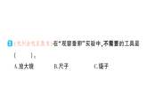 小学科学新教科版三年级下册第二单元第三课 迎接蚕宝宝的到来作业课件（放映显示答案）（2026春）