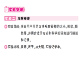 小学科学新教科版三年级下册第二单元第三课 迎接蚕宝宝的到来知识点作业课件（放映显示答案）（2026春）