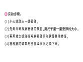 小学科学新教科版三年级下册第二单元第三课 迎接蚕宝宝的到来知识点作业课件（放映显示答案）（2026春）