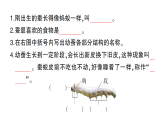小学科学新教科版三年级下册第二单元第四课 幼蚕在生长作业课件（放映显示答案）（2026春）