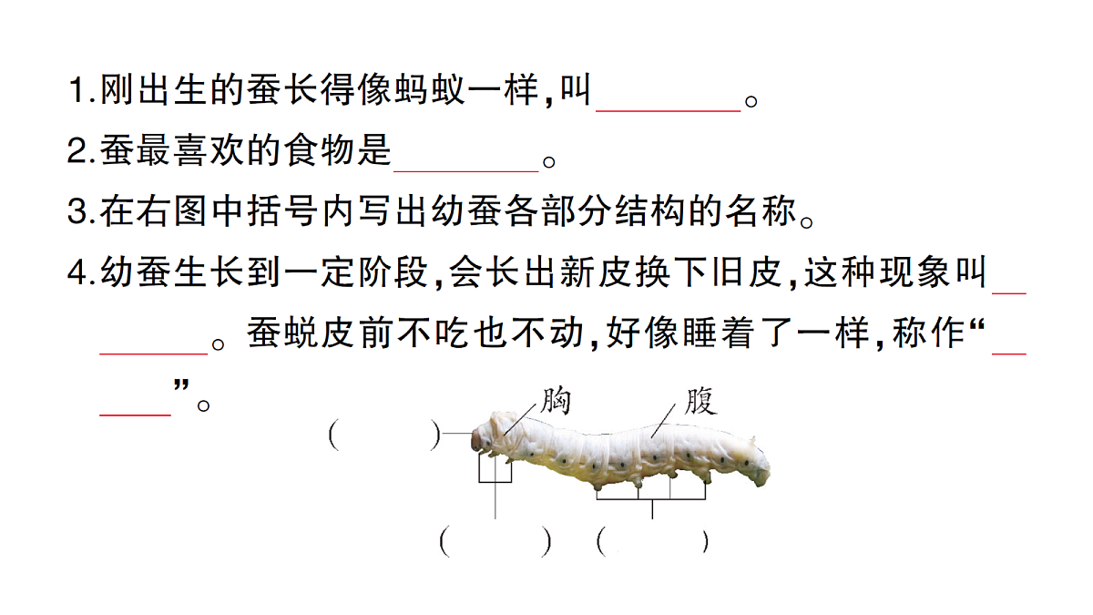 18184289第2页