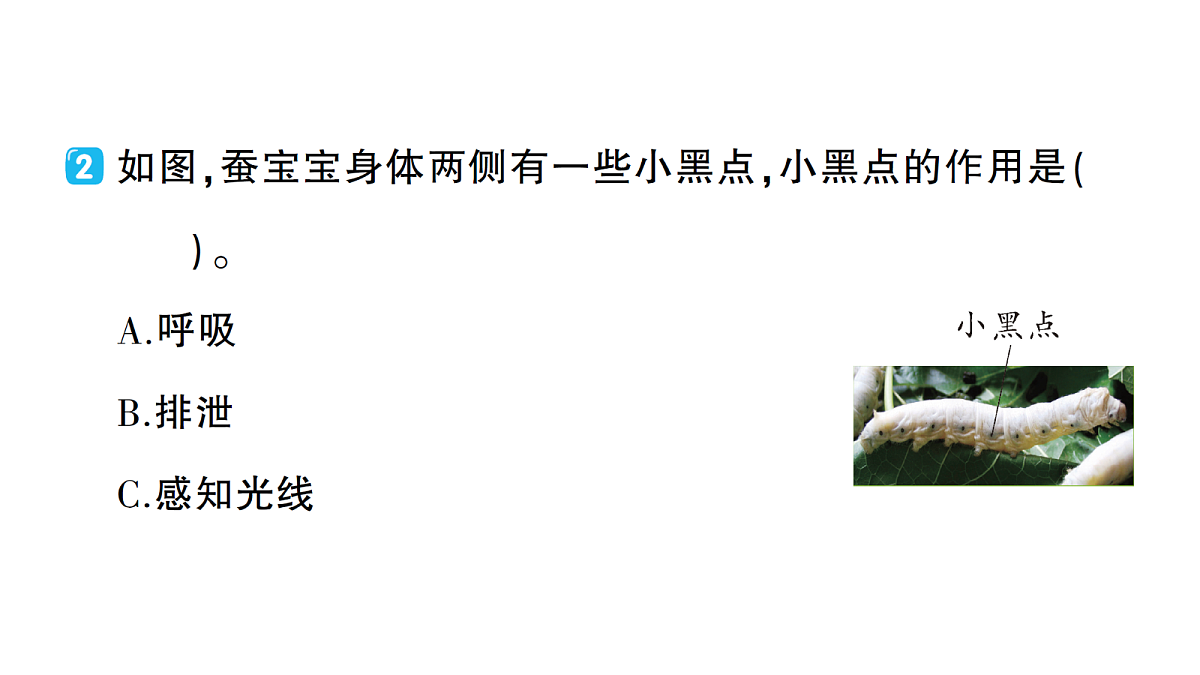 18184289第4页
