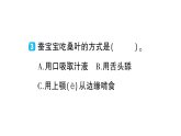 小学科学新教科版三年级下册第二单元第四课 幼蚕在生长作业课件（放映显示答案）（2026春）