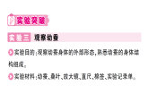 小学科学新教科版三年级下册第二单元第四课 幼蚕在生长知识点作业课件（放映显示答案）（2026春）