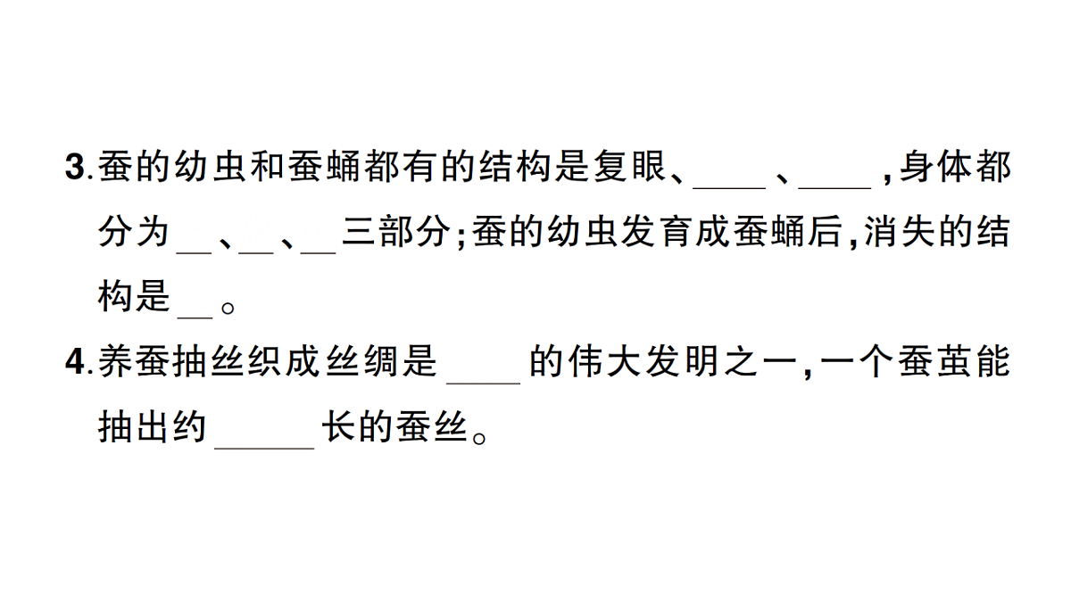 18184292第3页