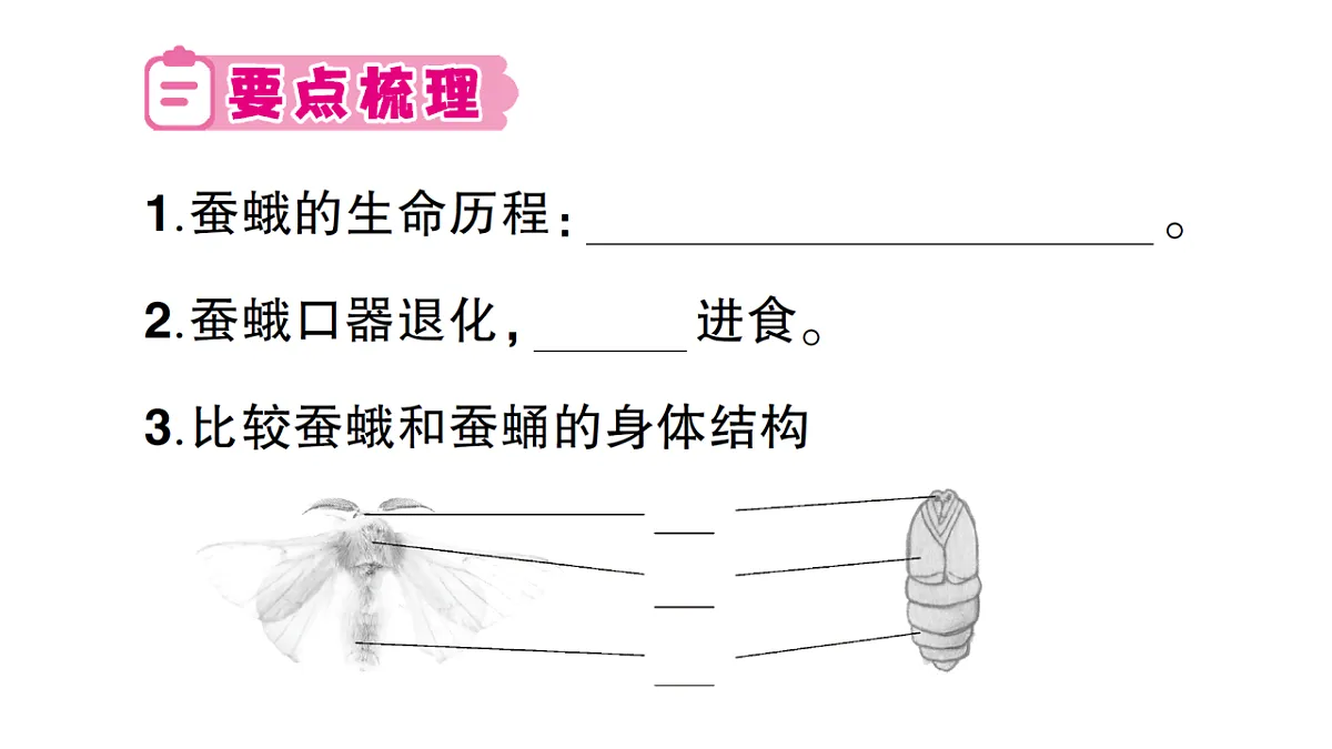 18184294第2页