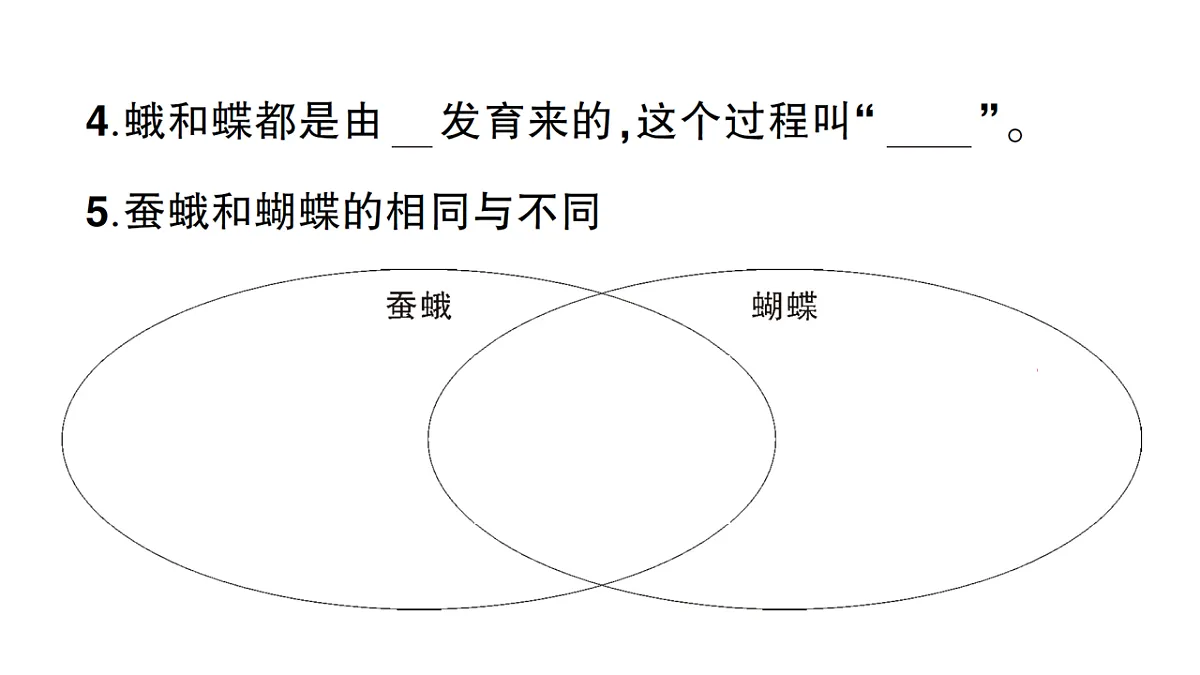 18184294第3页