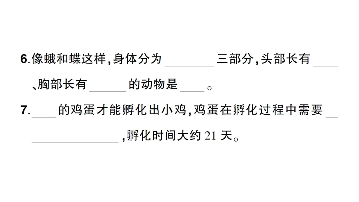 18184294第4页