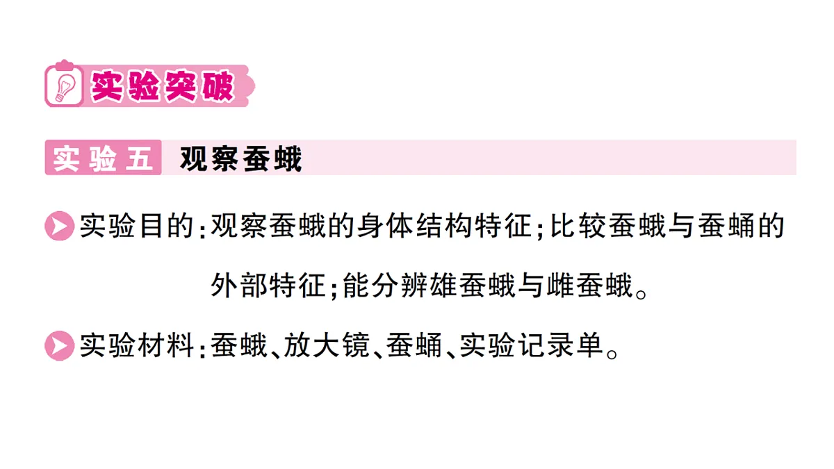 18184294第5页