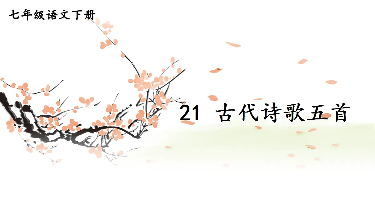 18184346第1页