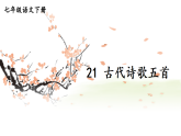 21 古代诗歌五首 第2课时 课件-2025-2026学年（统编版）七年级语文下册
