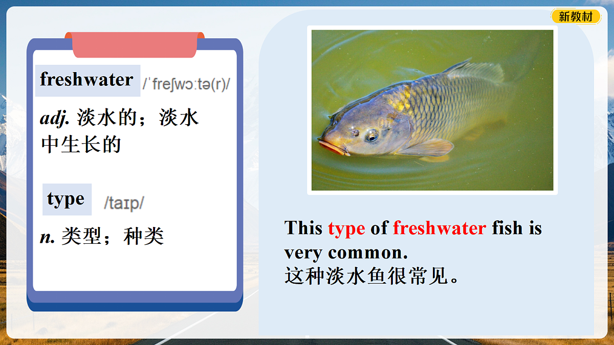 18184405第5页