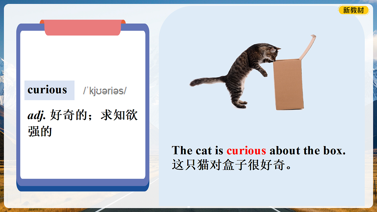 18184405第7页