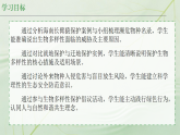 初中  生物  人教版（2024）  八年级下册6.4.2 人与自然和谐共生 课件