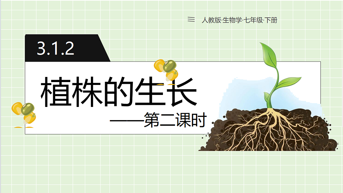 18184677第1页