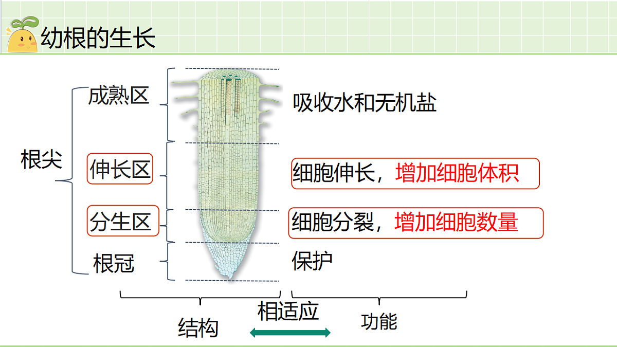 18184677第2页