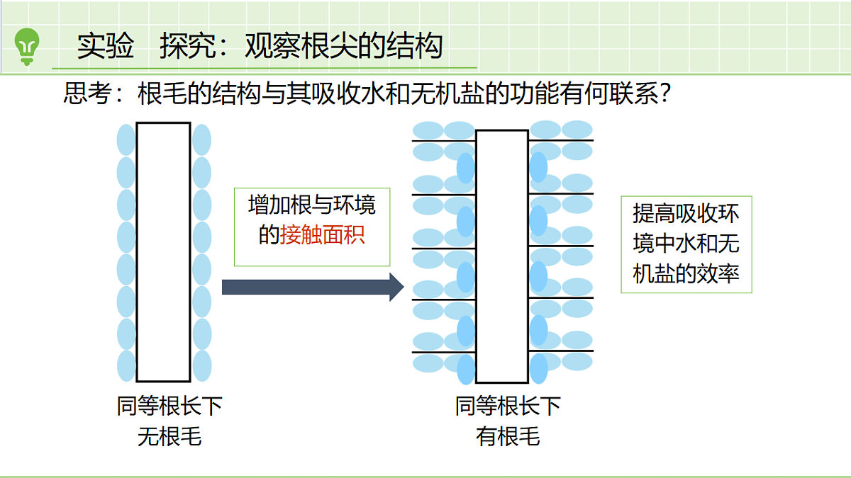 18184677第3页